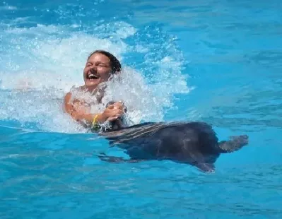 Plivanje sa delfinima