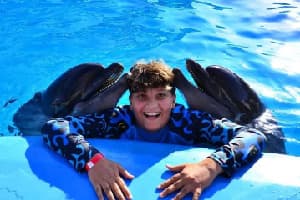 Delfini
