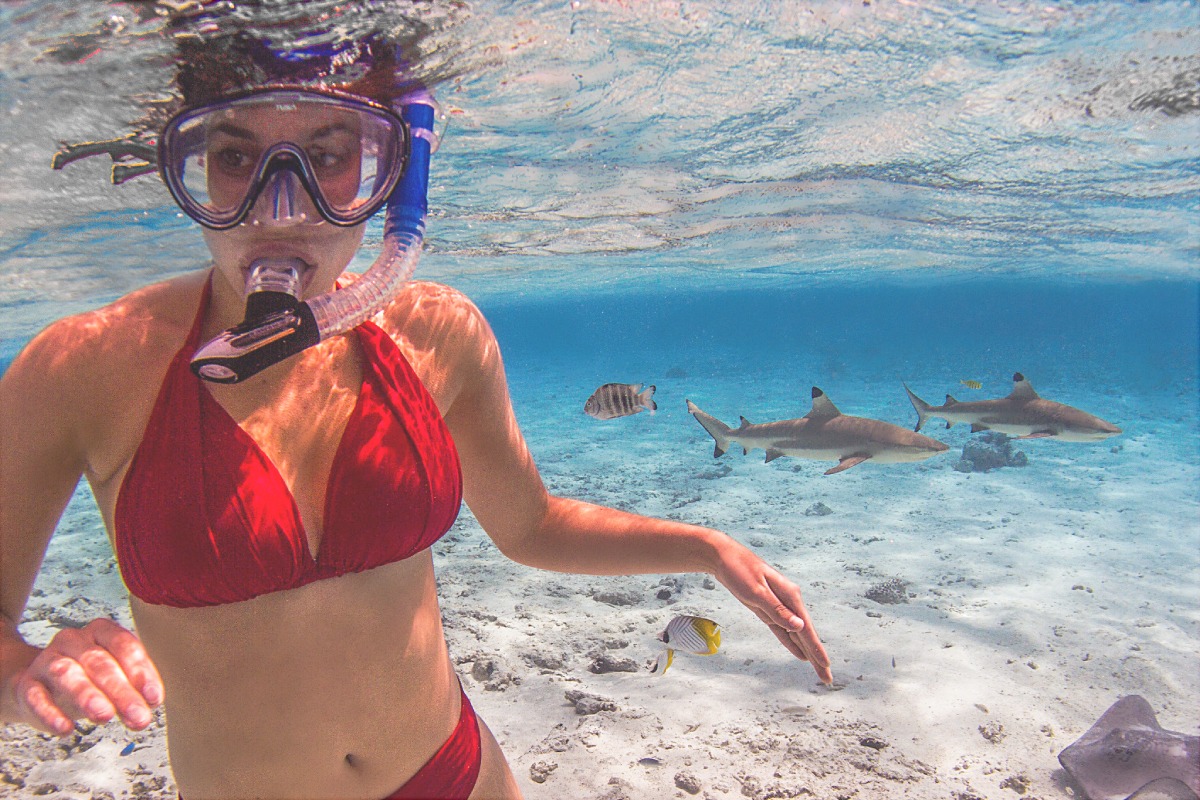 mustafa hurghada izleti top